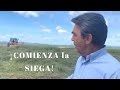 Labores de campo: ¡COMIENZA LA SIEGA!