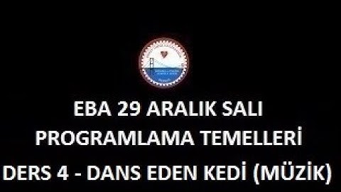 29 ARALIK - DERS 4 - SCRATCH DANS EDEN KEDİ