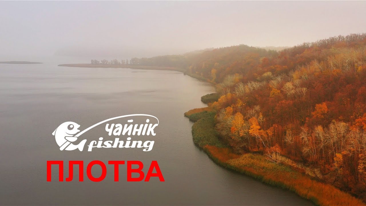 Плотва не дає поїсти