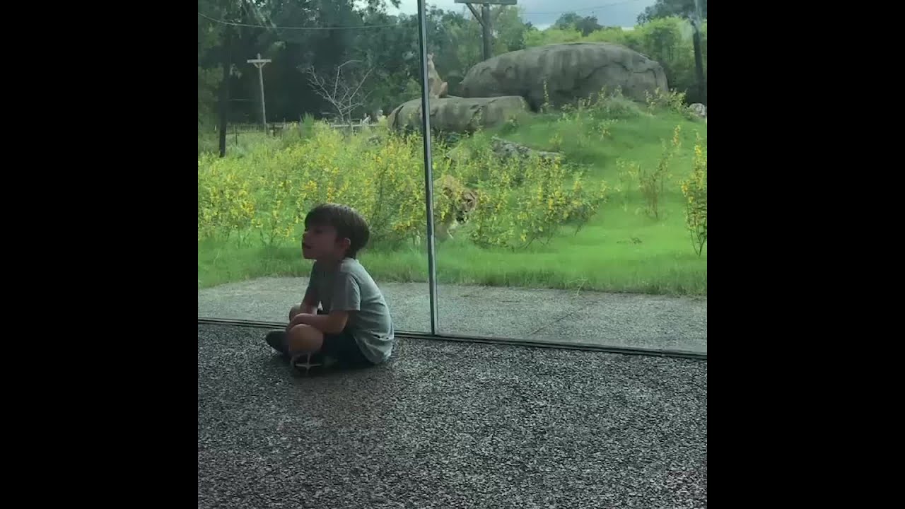 YouTube player