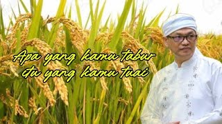 Tabur tuai | titik terang | syaiful karim #syaifulkarim #motivasi #ngajitauhid