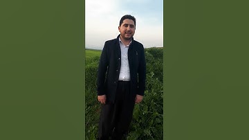 اجمل صوت سورة البقرة ملا محمد ملا يونس