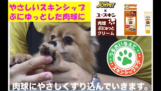 JOYPET×ユースキン肉球ぷにゅっとクリームわんちゃん編｜アース・ペット