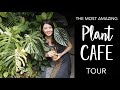 Plant Cafe Tour | Coffee + Tropical Garden filled with Rare & Variegated Plants!