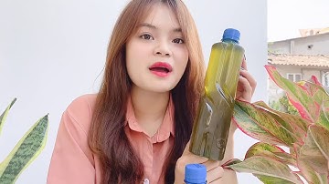 MẬT ONG BẠC HÀ HÀ GIANG NGUYÊN CHẤT - THẢO DƯỢC BẢO KHÁNH