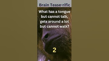 What has a tongue but cannot talk, gets around a lot but cannot walk?