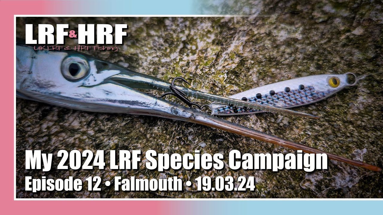 Episode Twelve: My 2024 LRF Species Hunt - Falmouth 