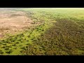 El megaproyecto de África: la Gran Muralla Verde. ¿Cómo convertir el Sáhara en un oasis?