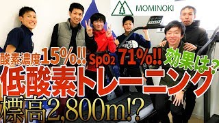 【町中で高地トレーニング？！】標高2,800mの酸素濃度で走ったよ！鳥取琴浦【 mominoki】