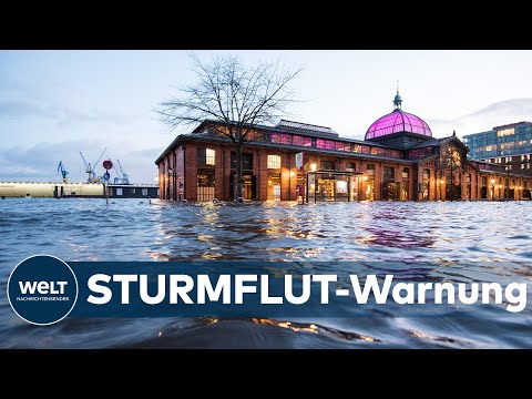 Video: Liegt Hamburg am Rhein?