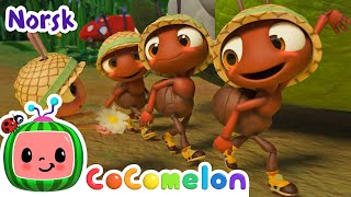Maurenes Marsj Vuggesanger For Babyer Cocomelon Norsk