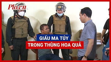 Cục C04 phá chuyên án giấu ma túy trong các thùng hoa quả - PLO