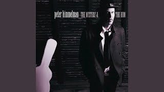 Video thumbnail of "Peter Himmelman - Trembling In the Beams"