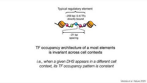 John Stamatoyannopoulos: High-resolution maps of regulatory DNA: Key insights & forward perspective