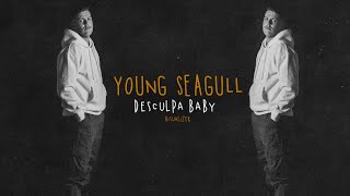 Young Seagull - Desculpa Baby (Visualizer)