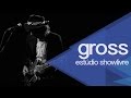 Marcelo gross no estdio showlivre 2014  apresentao na ntegra
