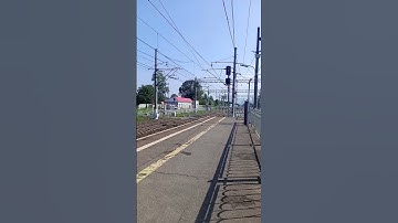 Thumbnail of #train #music #railway поезд Сапсан проезжает по станции Решетникова по второму пути третий Сапсан