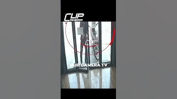 Có Cây Thang Để Leo Trèo Nó Cũng Lấy #shorts #automobile #minicamera #funny #memes #smartphone #art