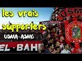 USMA les vrais  supporters USMA-ASMO