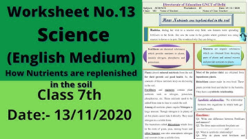 Worksheet 13 Science class 7(13/11/2020)English Med/worksheet 13 Science class7/Science worksheet13