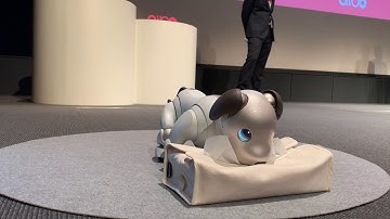 aibo pick up a tissue Demo for aibo API