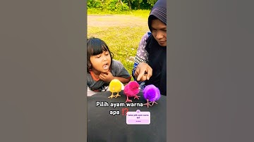KALIAN PILIH ANAK AYAM WARNA APA ⁉️