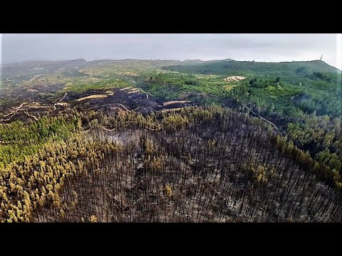 La huella del fuego en el norte de Tenerife (incendio que comentó el 21-7-2022)