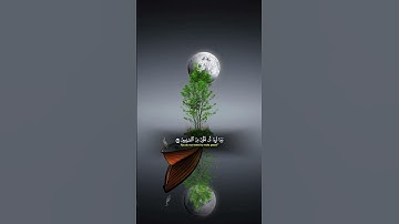 سورة القصص🌺📖✨|الدوسريقوالب_عربية#ياسر الدوسري#قوالب_دينيه#ياسر_الدوسري