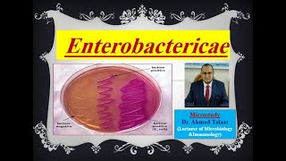 Enterobacteriaceae "Medical Microbiology"
