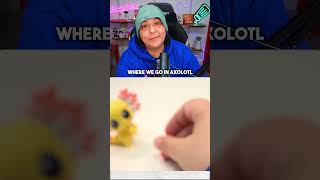 Which mini axolotl will we get?! #unboxing #mysterybox #mini