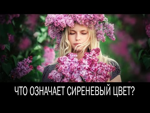 Что означает сиреневый цвет