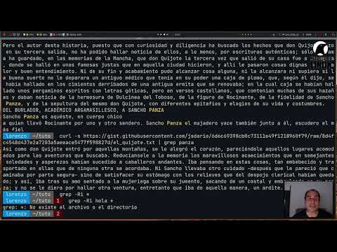 Video: ¿Qué se entiende por comando sed en Unix?