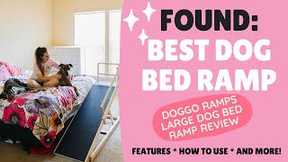 Best Dog Bed Ramp: DoggoRamps Large Dog Bed Ramp