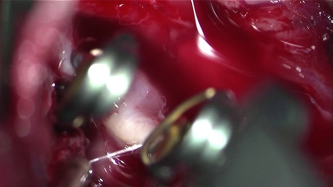 Porno suratga olish haqida elon