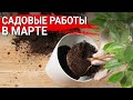 Садовые работы в марте