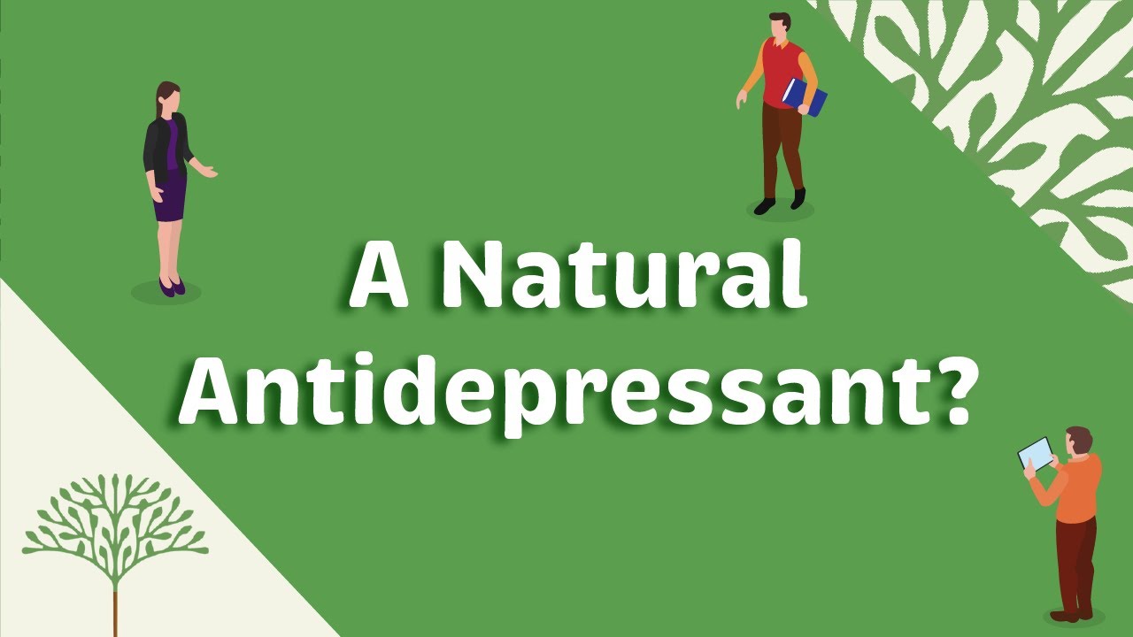 Depression treatment with natural acetyl l carnitine? YouTube
