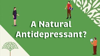 Depression treatment with natural acetyl l carnitine?