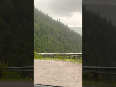 باران من همیشه حسم به بارون این شکلی که میگم چون داره از بغل خدا جدا میشه اینجوری میباره