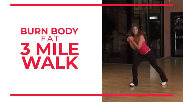 Burn Body Fat 3 Mile | Leslie Sansone's Walk at Home - DayDayNews