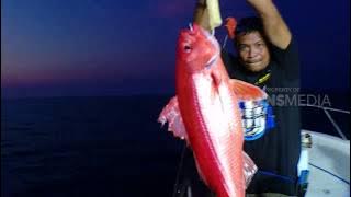 MANCING MANIA | SEAMOUNT REEF PULAU WETAR (30/12/18) PART 1