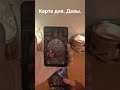 Девы. 25 апреля. Карта дня.