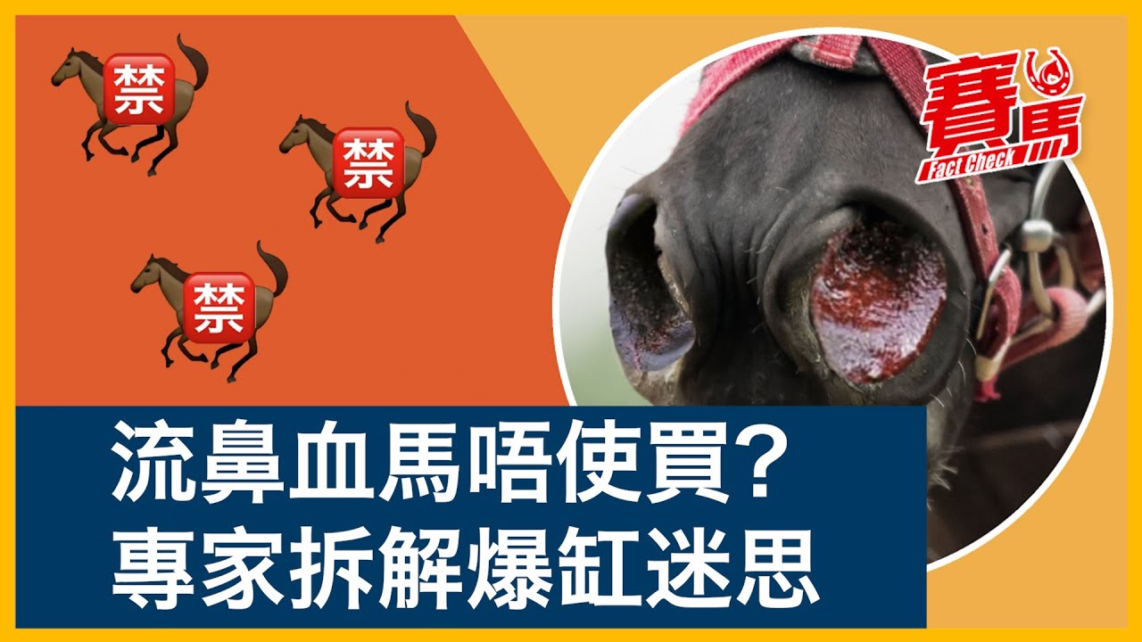 Hkjc為馬匹流鼻血分級累積兩次強制退役流鼻血馬迷唔使買 電路六號試泥閘流鼻血休養完試草閘再出事 泥地王烽煙四喜 短途灰獸川河達駒 短途名駒忠心勇士被迫退役 Cc中文字幕 賽馬factcheck Youtube