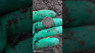 Поиск старины.#деньга #находки #metaldetecting #metaldetector