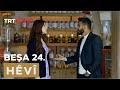 Hv  bea 24