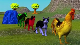 Rooster, Cat, Dog & Cow Fountain Animation Video | Animal Fountain Crossing Video