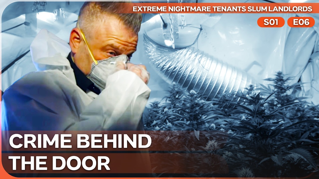 Documentary backdrop image for Inside a Rental Home Turned Into a Drug Farm (2026)