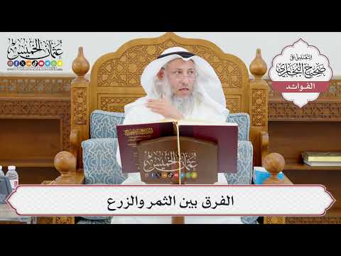 [943] الفرق بين الثمر والزرع - عثمان الخميس