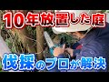 【庭木の伐採】10年放置した荒れ放題の庭をリセット！植木のプロのチェーンソー捌きが気持ち良い作業解説＜爽快ビフォーアフター＞｜神奈川