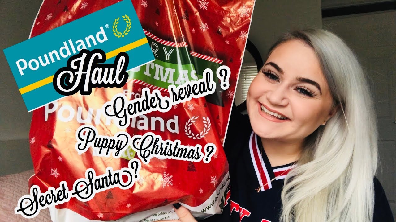 Poundland Haul November 2018