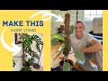 How to make a moss pole for climbing plants like monstera diy  easy cheap fast 2023